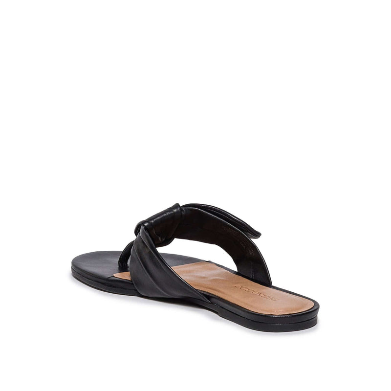 Black Women Bernardo Harmony Thong Slide Sandals | HRH262US