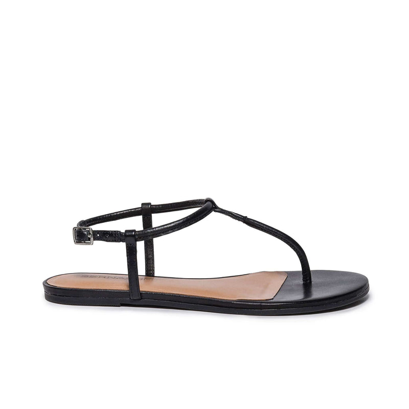 Black Women Bernardo Haven Thong Flat Sandals | JHB4223JH