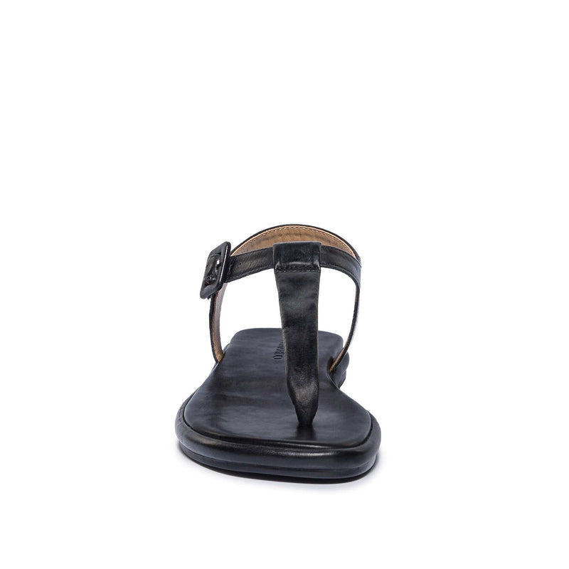 Black Women Bernardo Tucson T-Strap Flat Sandals | CKF2943IG