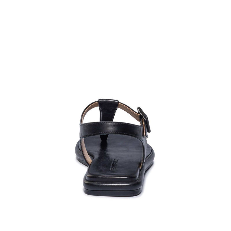 Black Women Bernardo Tucson T-Strap Flat Sandals | CKF2943IG