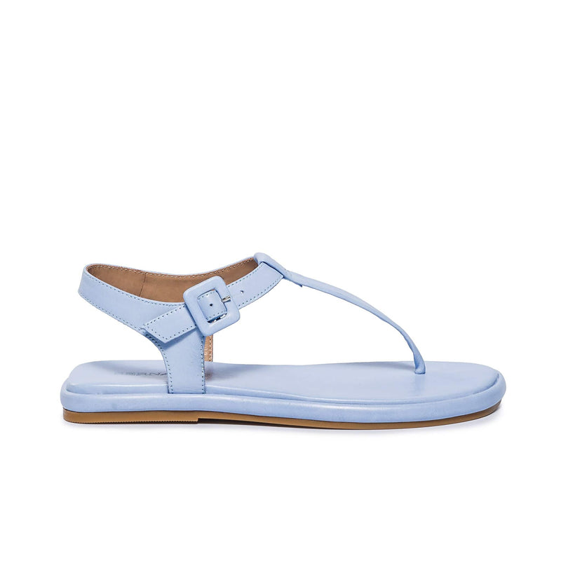 Blue Women Bernardo Tucson T-Strap Flat Sandals | HHU9292GF