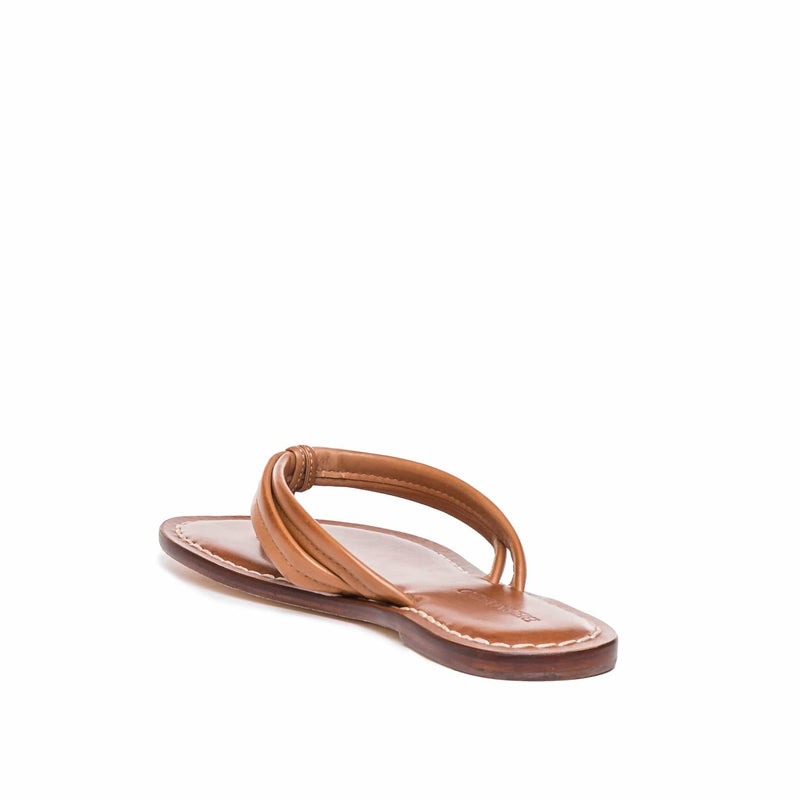 Brown Women Bernardo Miami Thong Slide Sandals | SCY8871XI