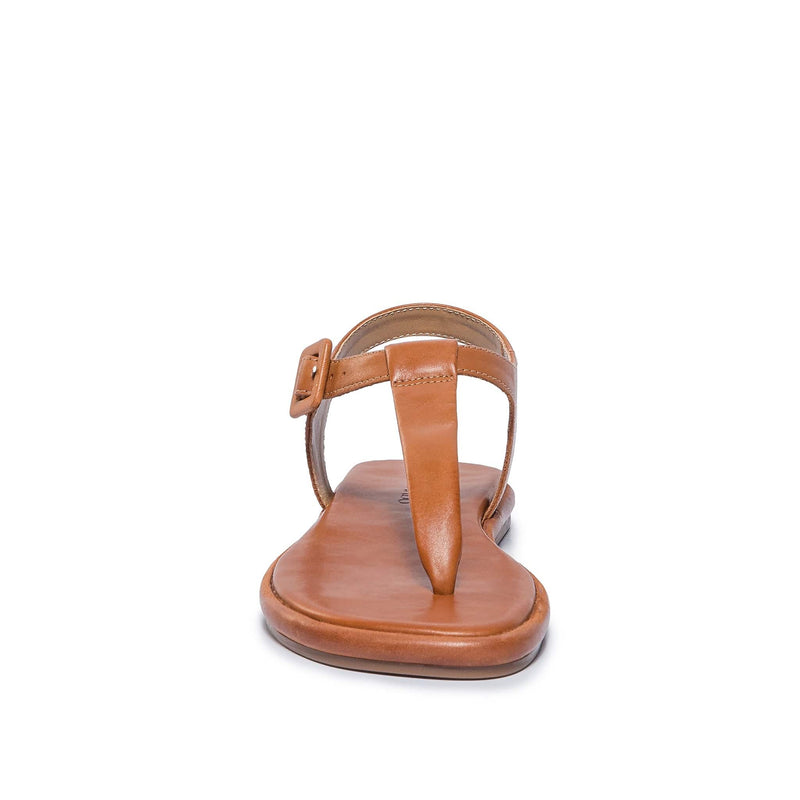 Dark Brown Women Bernardo Tucson T-Strap Flat Sandals | RDV6691JG