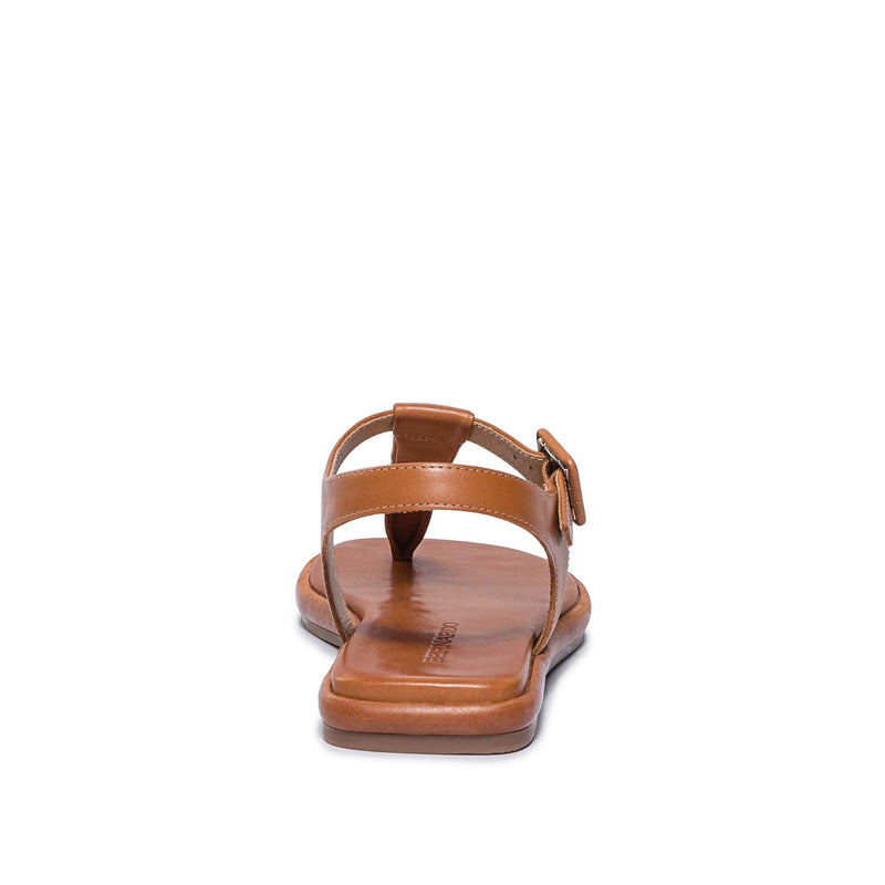 Dark Brown Women Bernardo Tucson T-Strap Flat Sandals | RDV6691JG