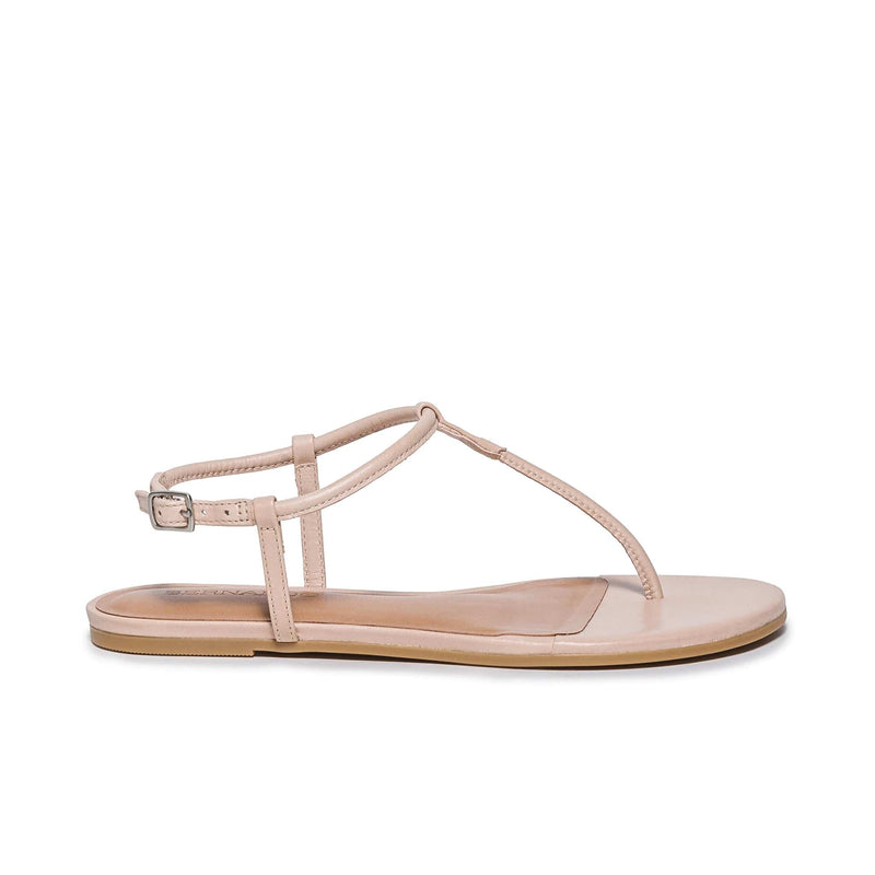 Pink Women Bernardo Haven Thong Flat Sandals | OMY6841ZN