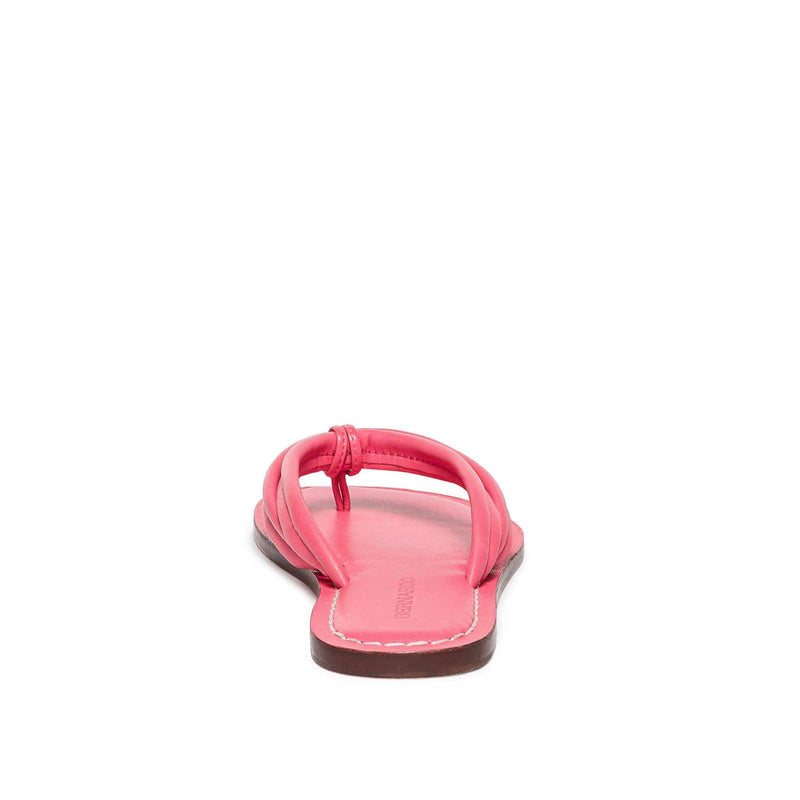 Pink Women Bernardo Miami Thong Slide Sandals | FYG9120VL