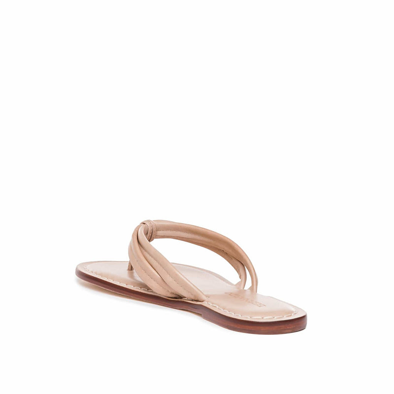 Pink Women Bernardo Miami Thong Slide Sandals | PLP1066UG